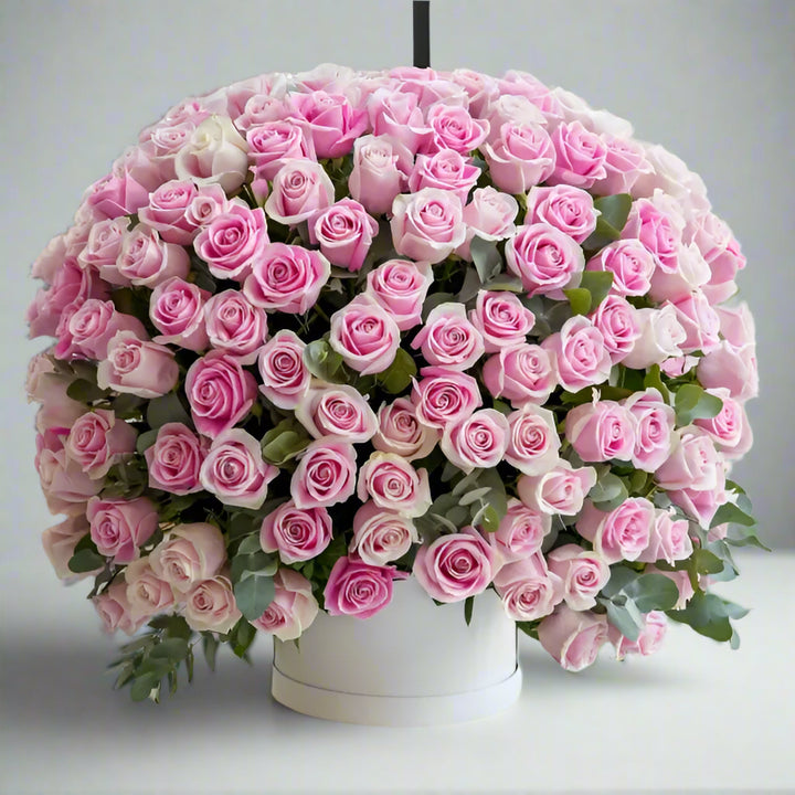 201 Pink Roses Box Luxury Arrangement From Best Florist in Dubai