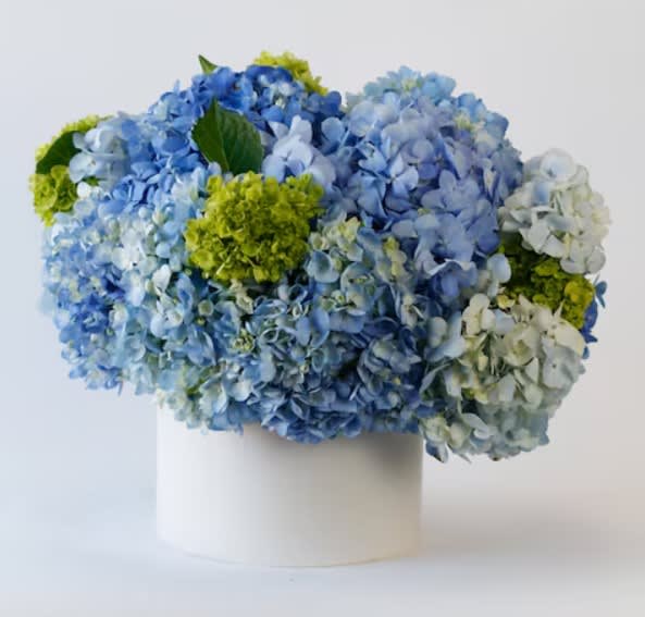 Blue Hydrangea box From Best Florist in Dubai