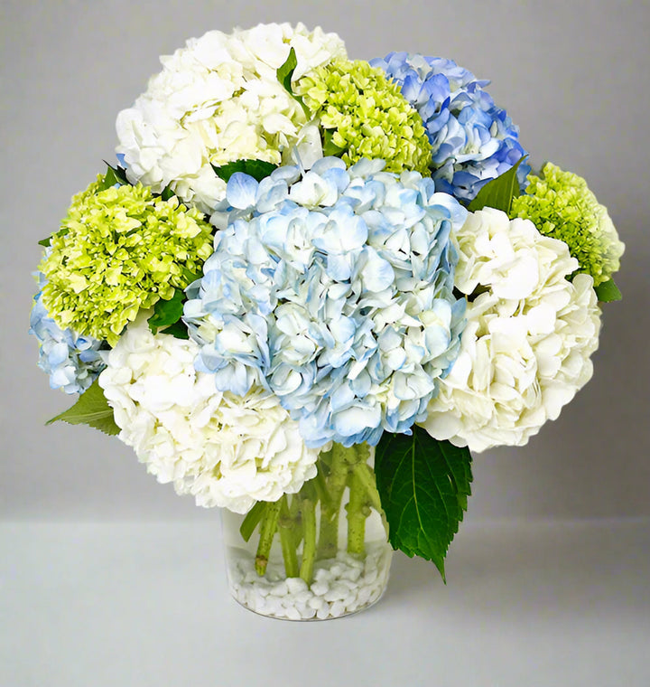 Ocean Breeze Hydreangea in vase From Best Florist in Dubai