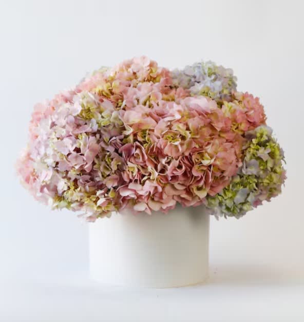 Pink mix Hydrangea box From Best Florist in Dubai